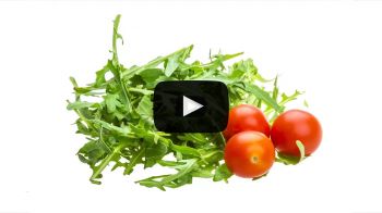 Salad Processing Video